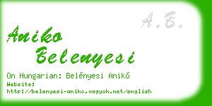 aniko belenyesi business card